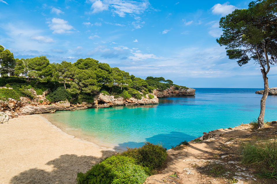 Playa en Cala d'Or Playa de aguas tranquilas y arena blanca en Mallorca